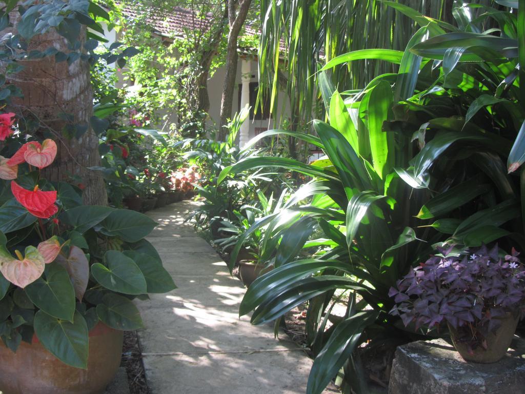 Peacock Land Hotel Tangalle Exterior photo